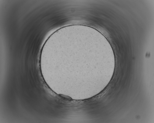 X0000097600912200803280948