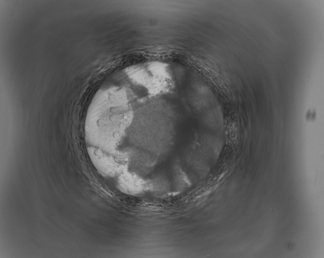 X0000097600913200803280947