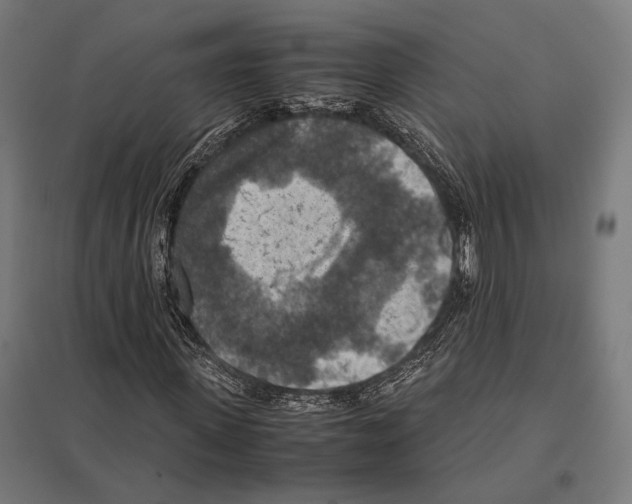 X0000097600915200803280947