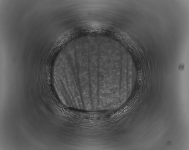 X0000097600916200803280947