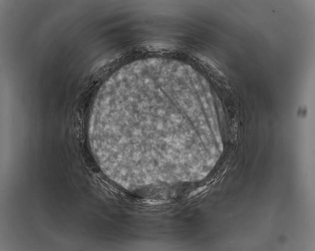 X0000097600917200803280947