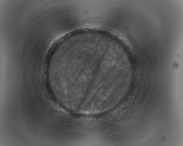 X0000097600920200803280947