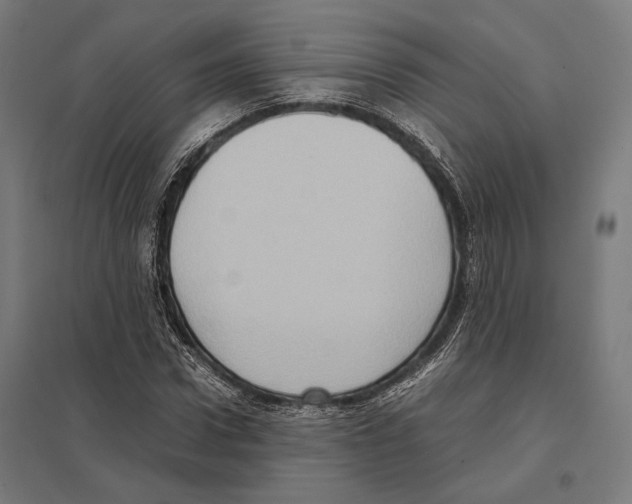 X0000097600922200803280947