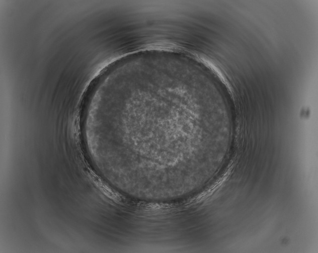 X0000097600923200803280947