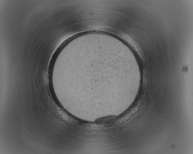 X0000097600924200803280947