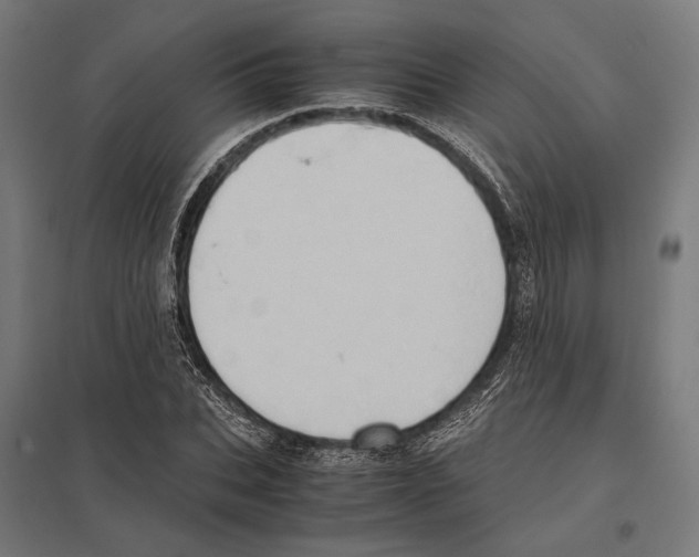 X0000097600927200803280947