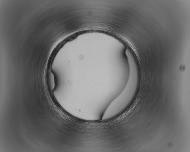 X0000097600928200803280947