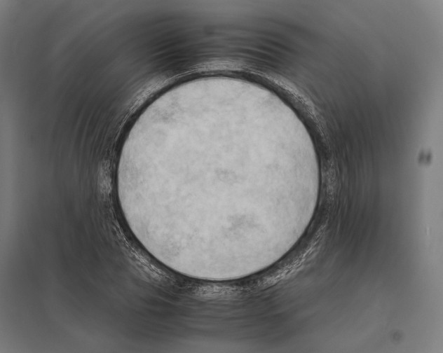 X0000097600929200803280947