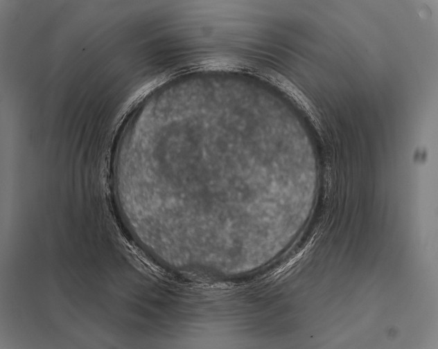 X0000097600930200803280947