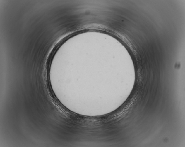 X0000097600931200803280947