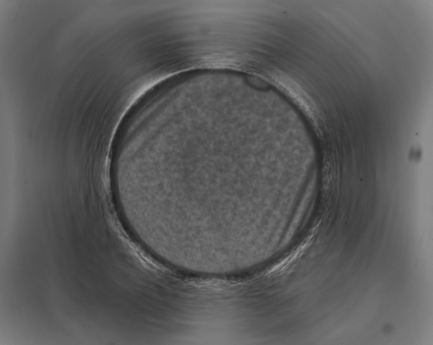 X0000097600932200803280947