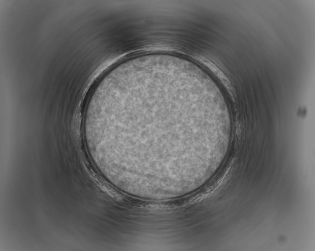 X0000097600933200803280947