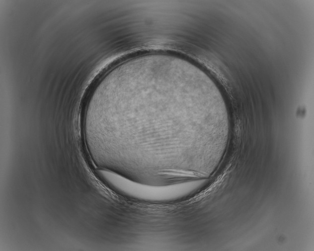 X0000097600934200803280947