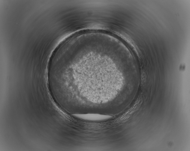 X0000097600935200803280947