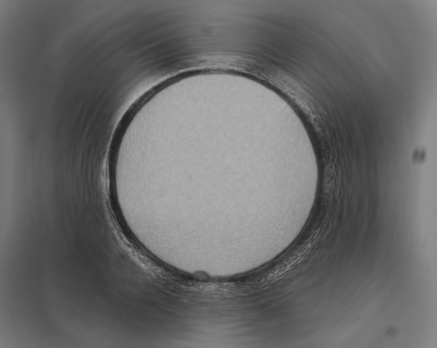 X0000097600936200803280947