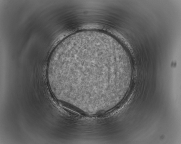 X0000097600937200803280947