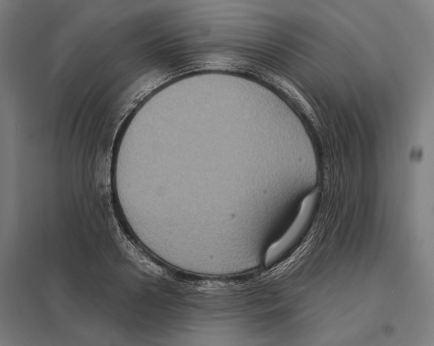 X0000097600938200803280947