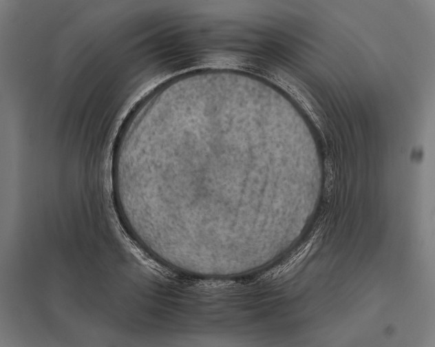 X0000097600939200803280947