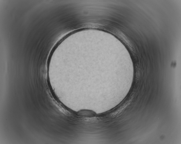 X0000097600940200803280947