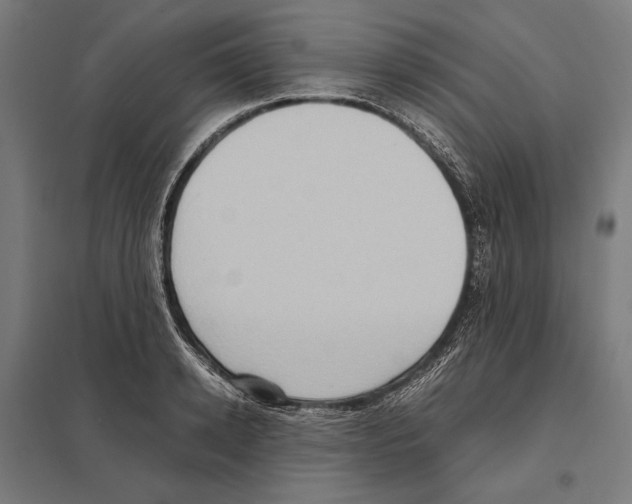 X0000097600942200803280947