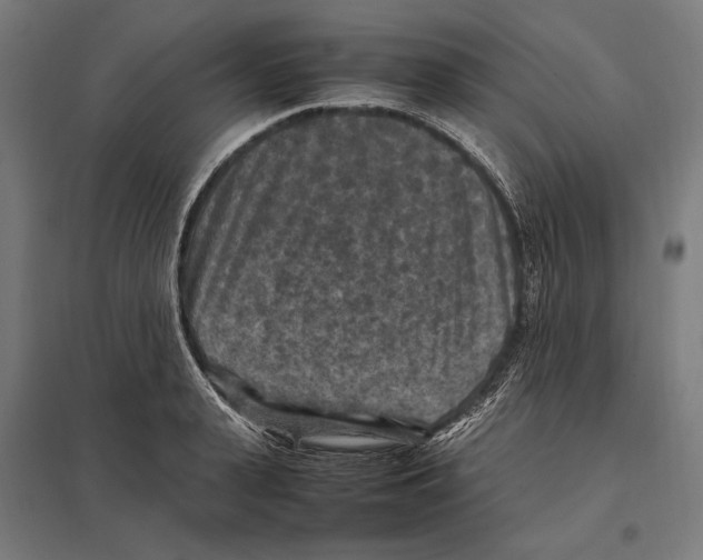 X0000097600943200803280948