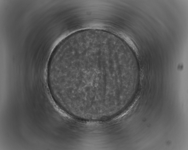 X0000097600944200803280948