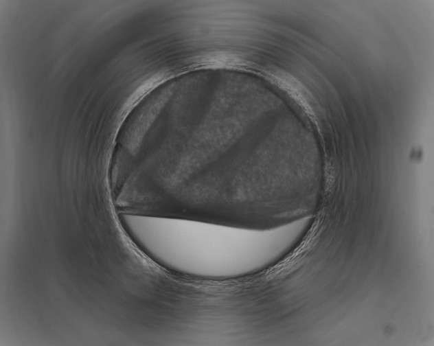 X0000097600946200803280948