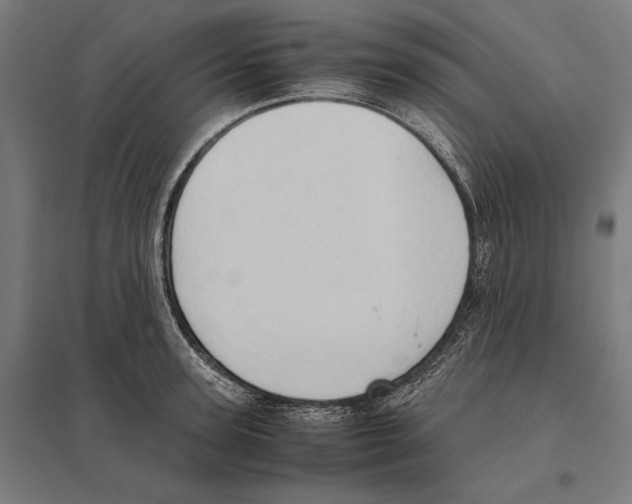 X0000097600947200803280948