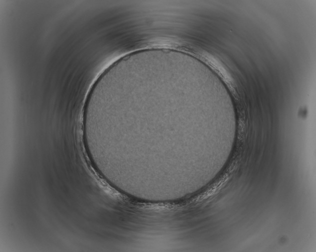 X0000097600948200803280948