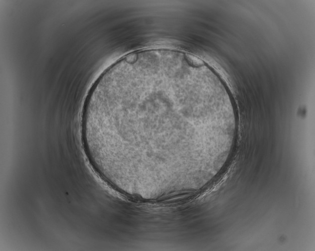 X0000097600949200803280948