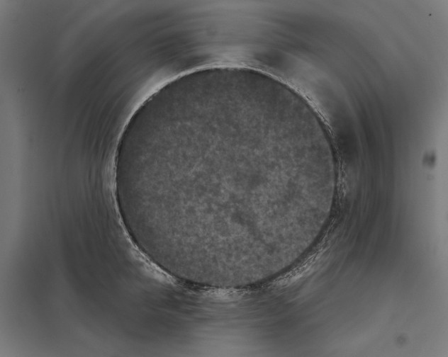 X0000097600950200803280948