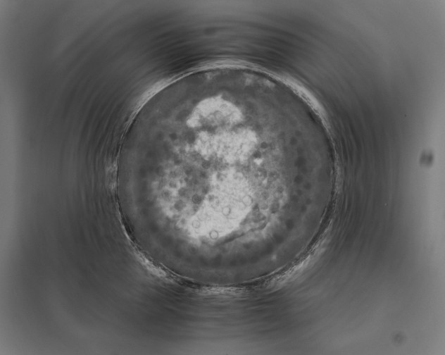 X0000097600953200803280948