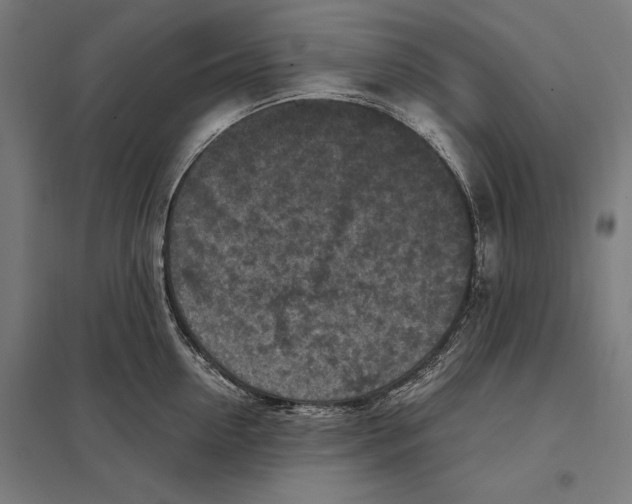 X0000097600954200803280948