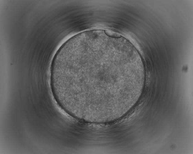 X0000097600955200803280948