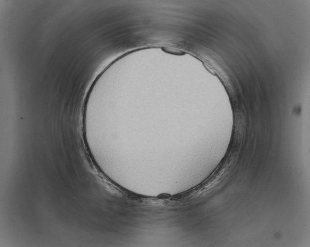 X0000097600956200803280948