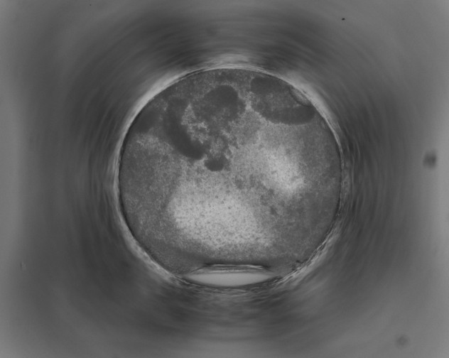 X0000097600957200803280948