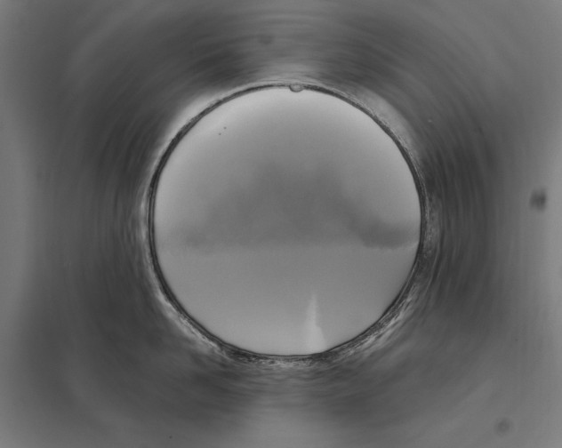 X0000097600958200803280948