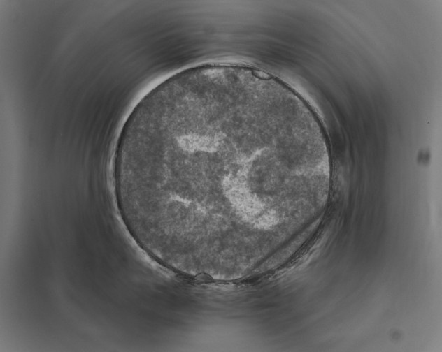 X0000097600959200803280948