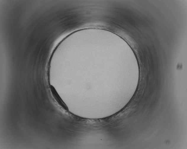 X0000097600960200803280948