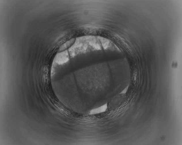 X0000097600964200803280947