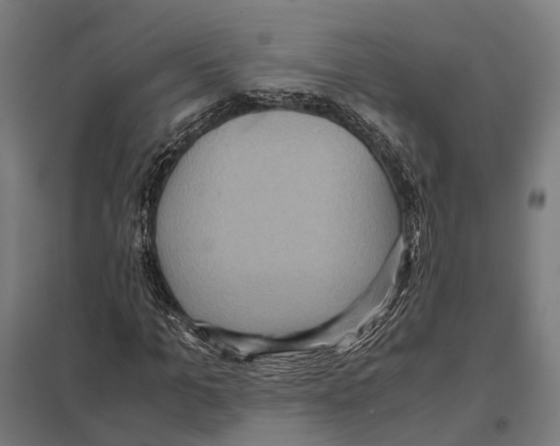 X0000097600965200803280947