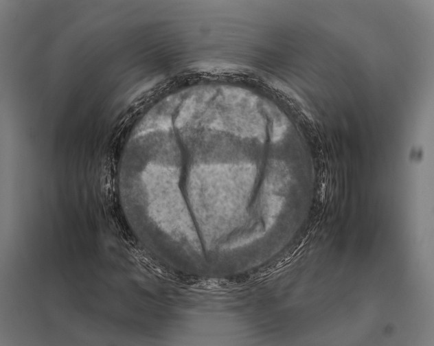 X0000097600966200803280947