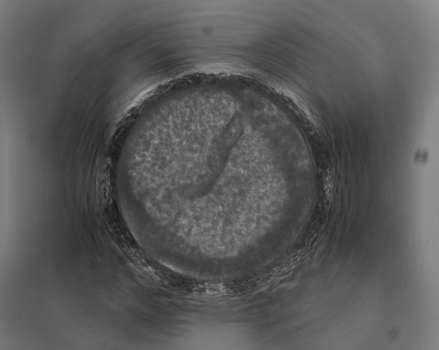 X0000097600968200803280947