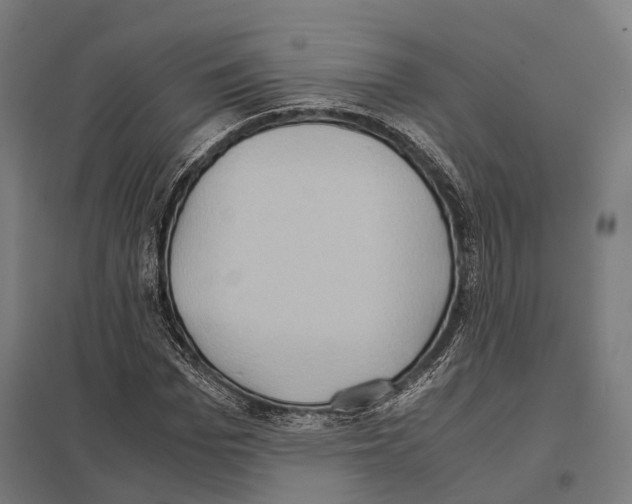 X0000097600969200803280947