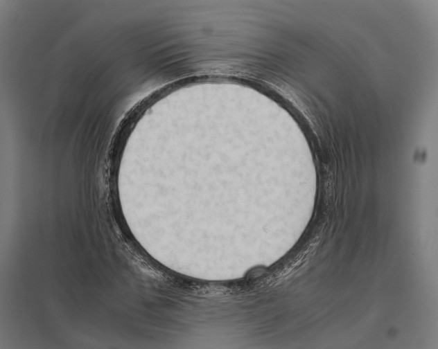 X0000097600971200803280947