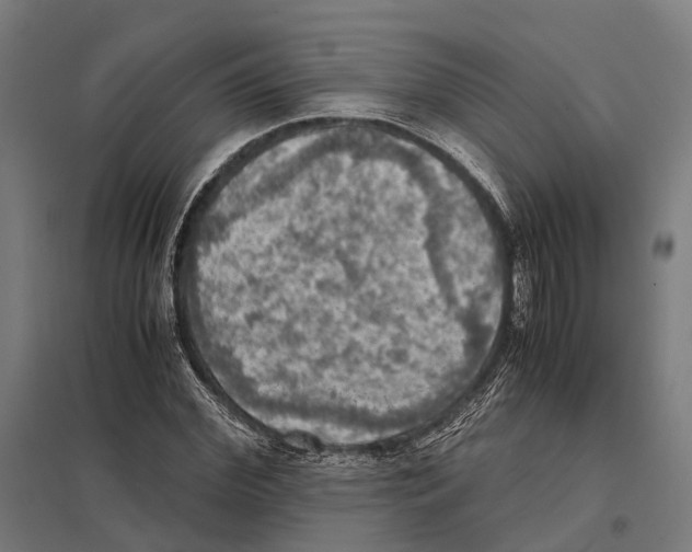 X0000097600972200803280947