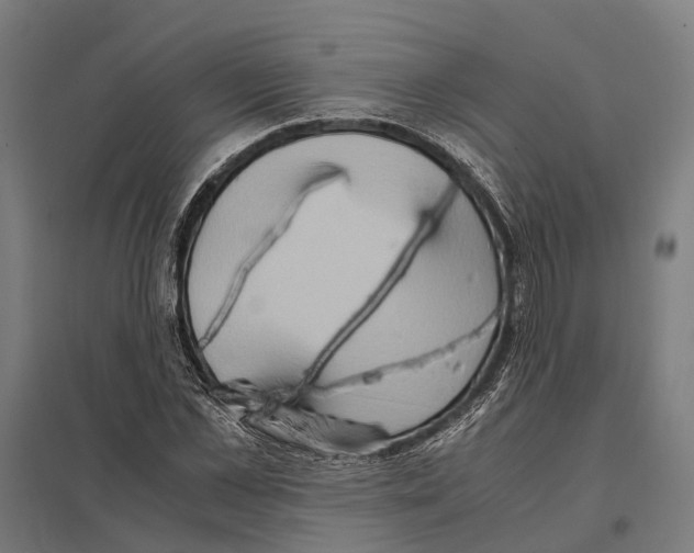 X0000097600973200803280947