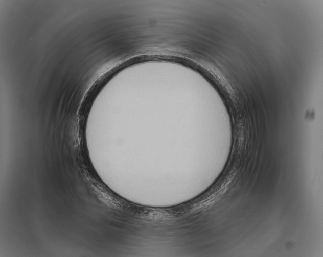 X0000097600974200803280947