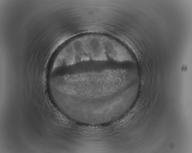 X0000097600975200803280947