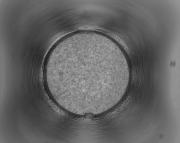 X0000097600976200803280947